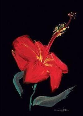 Delicate Beauty-Hibiscus 1-1006